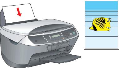 Printing / How to Print Printing Photos Handling single sheets of paper Driver settings for Windows Driver settings for Mac OS 9 Driver settings for Mac OS X Before turning on the CX6500, make sure