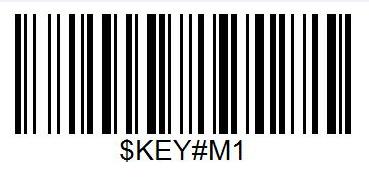 example if you scan value 1004, Keystroke will be Up
