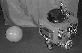 5 y 1 15 2 Figure 3: A mobile robot and a ball 5 1 15 2 25 Figure 5: The distribution of the centroid of the ball image x The image area is 256 by 22 pixels, and the state space is constructed in