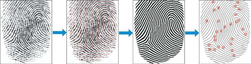 fingerprints from the same finger and low for those from different fingers. There may be changes in the images of same finger due fingers.