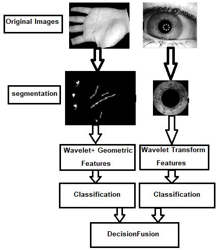 RESEARCH ARTICLE OPEN ACCESS Iris and Palmprint Decision Fusion to Enhance Human Ali M Mayya [1], Mariam Saii [2] PhD student [1], Professor Assistance [2] Computer Engineering Tishreen University