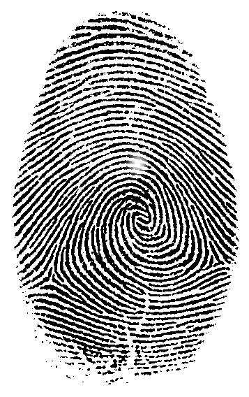 Output: Generate matching score of fingerprints and produce performance of fingerprint recognition system.