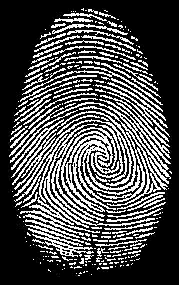 Step 3: Mark minutiae points (Ridges-end point and bifurcation point) and extract all the information about fingerprint image. Step 4: Finally fingerprint matching Step occur.