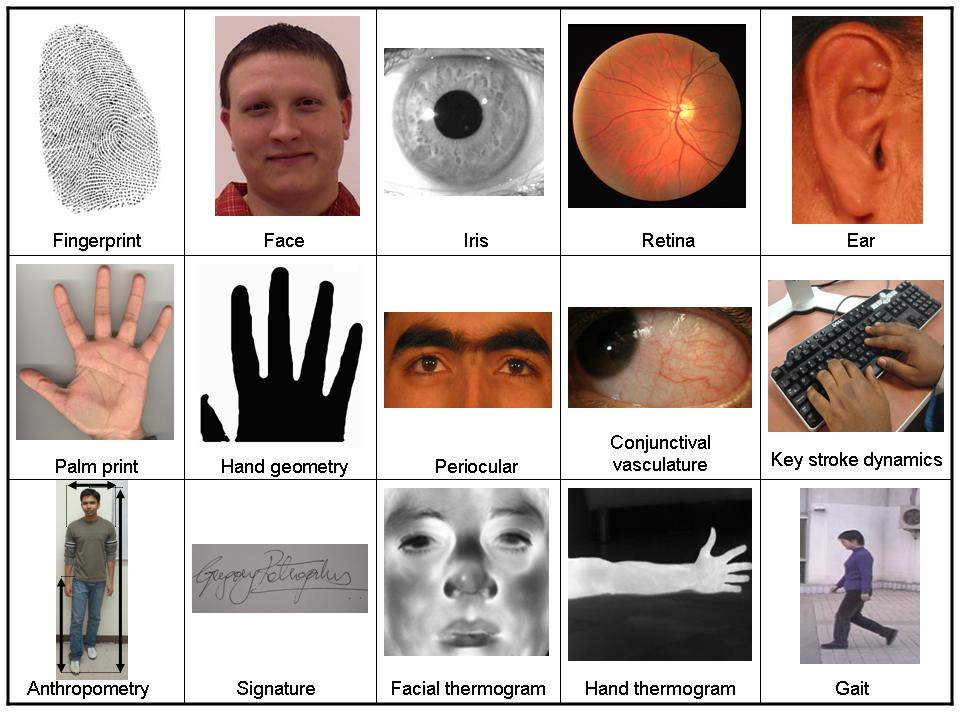 Biometrics, examples Written signature Retinal scan DNA Vein pattern Thermal pattern of the face