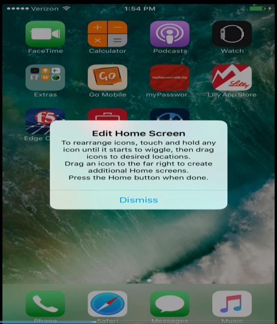 Continue setting up DEP-Register your device to be able to access Lilly resources. 11. Welcome to iphone screen Appears. Your registration is now complete.