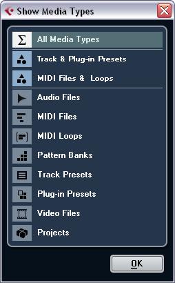 Here, you will find all the files found in the selected location. Select this option to display all types. Here, the last four media type selections you made are listed.
