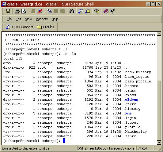 UNIX Command Options Most commands have many options ls la List all files, long format File names