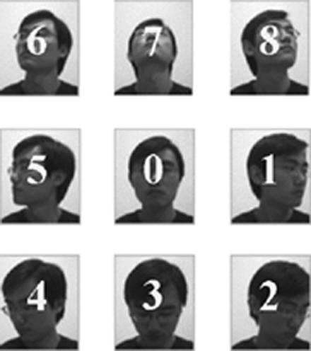 Face images with nine different poses. The class indexes are superimposed upon the typical face images. random Gaussian noise is added into the data.