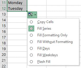 The following data shown on the right appears: Notice that a new icon appears in your worksheet. This is the AutoFill Options.