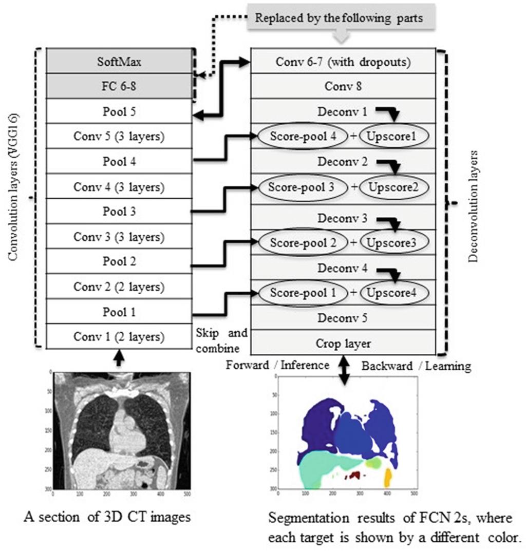 Three-Dimensional CT Image Segmentation 5 Fig. 2. Semantic image segmentation of 2D CT slice using fully convolutional network (FCN) [11].