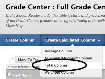 The Total Column A Total Column calculates the total points for a number of Columns related to the total number of points allowed, which is useful for generating a final score.