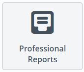 2. From within TaxAct Professional Editions: a. Open your Professional Edition software (and sign in if you re using online networking). b. Click the Professional Reports tab. c.