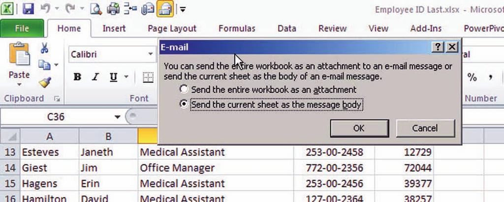 Using Advanced Formulas and Securing Workbooks 285 9. Click the Send the current sheet as the message body option, as shown in Figure 9-36, then click OK.