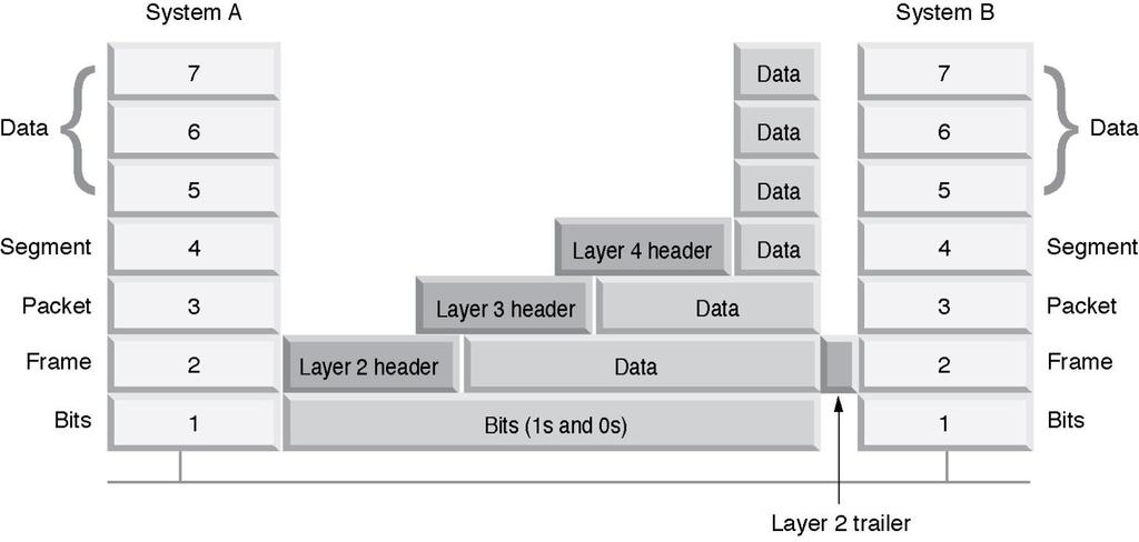 7. Application Layer 6. Presentation Layer 5. Session Layer 4.