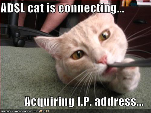 TCP provides a similar reliable delivery service for IP Abstraction has its limits Ethernet cable chewed through by cat?