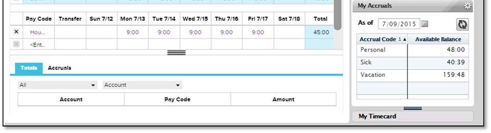 Depending on your access profile for ADP Vantage HCM Time options, you may see primary and secondary widgets through which you