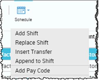 Callout Item Description 7 Schedule menu This menu includes options for managing schedules. The options include Add Shift, Replace Shift, Insert Transfer, Add Pay Code, Add to Group, and Add Pattern.