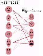 Holistic matching: Eigenfaces One of the best global representation Central idea: Find a weighted combination of a small number of transformation vectors that can