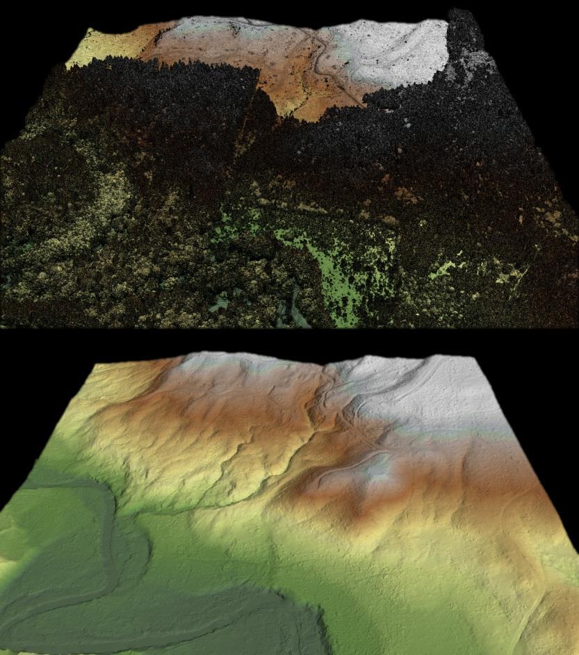 Lidar Technical Report Oregon Department of Forestry