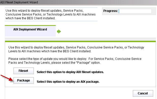 Figure 12. Package option in the AIX Deployment Wizard 3. Enter the location of the AIX package that you want to deploy. 4.