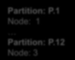 1 Node: 1 Partition: P.