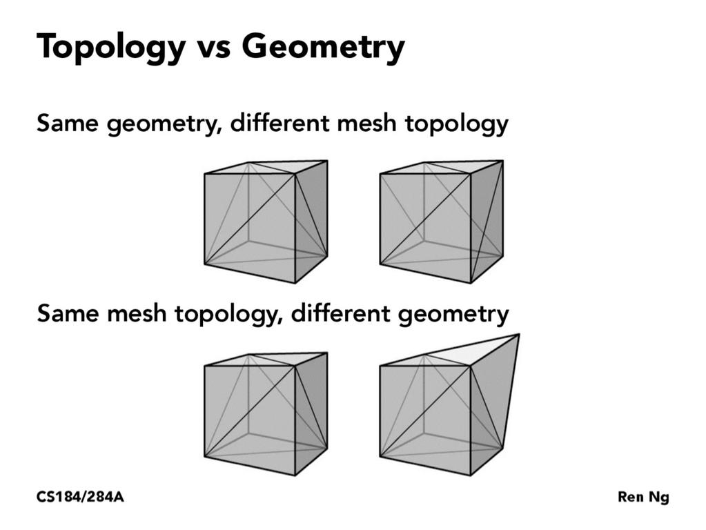 Meshes: geometry and topology The topology of a mesh is given by the combinatorics of its edges and