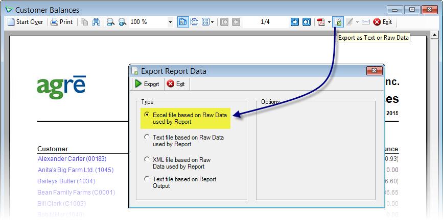 Selecting Excel file based on Raw Data used by Report will generate an export file already