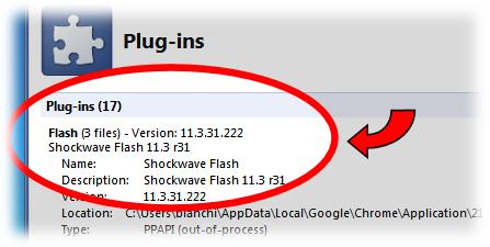 4. In the Flash section there should be 2 or 3 different versions of flash listed.