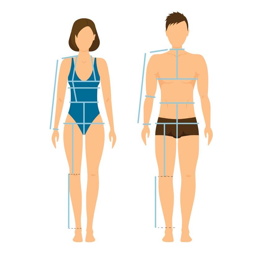The problem To investigate the hypothesis: Male and female waist girth measurements are the same. Data collection The data are in the Excel spreadsheet Adult Measurements.xlsx.