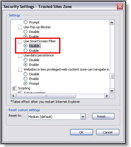 Image 5: Miscellaneous Security Settings (IE) 1. 2. 3.