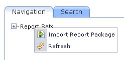 The Report Definition Format The Report Definition format is produced whenever reports are exported from TCR.
