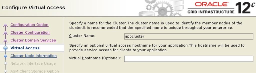 Installing an Application Member Cluster Small differences
