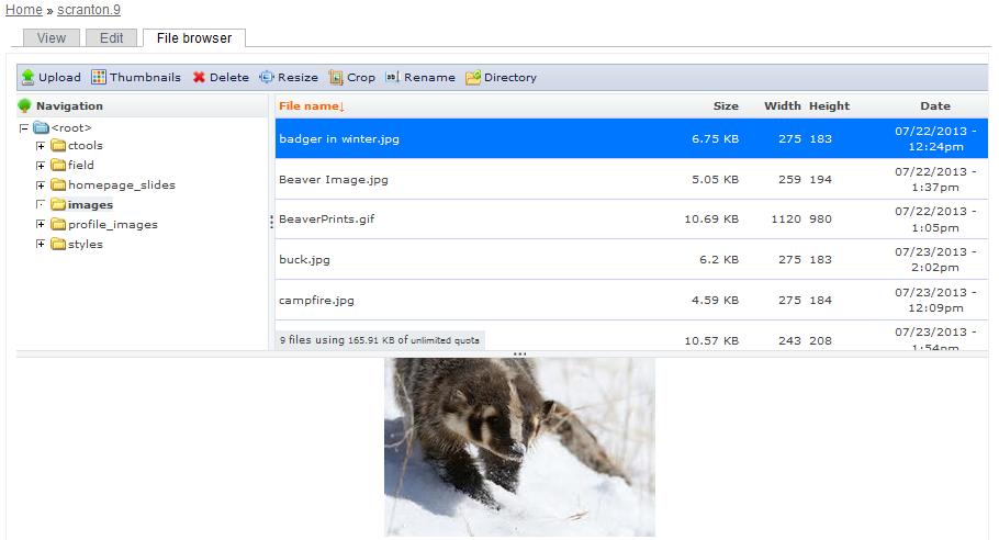IMCE File Browser File Browser The File Browser tab takes you to the IMCE file browser.