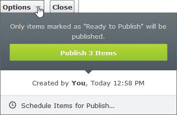 If the items in a project were scheduled for publishing and you add new items to the project, the new content is not scheduled