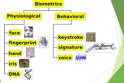 Authentication Most common biometric systems: Fingerprint Palm Scan Hand Geometry