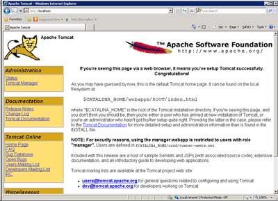 9. Tomcat Installation: Select Run Tomcat and click Finish. 10. After Tomcat is installed, set the Apache Tomcat service to start automatically.