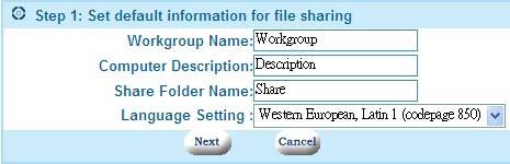 Enter the workgroup name, description, initial share folder name and language you prefer. The workgroup name should be the same one that the computers accessing the NAS are on.