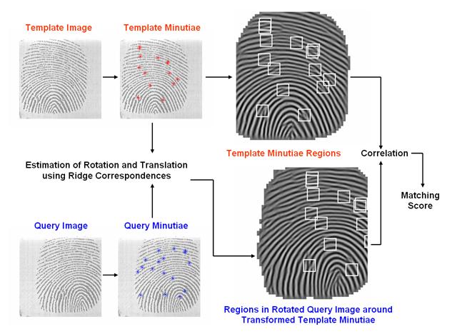 Figure 2. Algorithm for local correlation-based fingerprint matching. so it does contain some poor quality images).