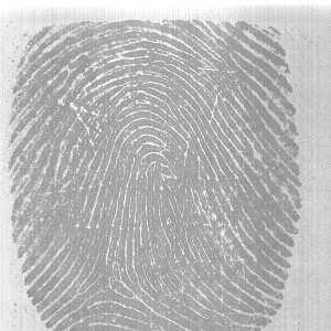 Combining Multiple Matchers for a High Security Fingerprint Verification System. Pattern Recognition Letters, 20(11 13):1371 1379, 1999. [8] A. K. Jain, S. Prabhakar, L. Hong, and S. Pankanti.