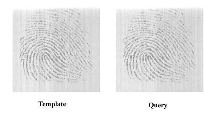 In Proceedings of International Conference on Biometric Authentication, LNCS 3072, pages 1 7, Hong Kong, July 2004. [11] D. Maltoni, D. Maio, A. K. Jain, and S. Prabhakar.