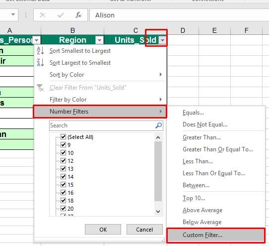 Excel 2016 Advanced Page 113 This will display the Custom