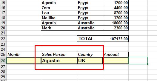 We wish to filter the list so only sales made by Agustín to the UK are displayed.