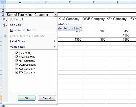 Excel 2010 Advanced Page 17 At present all the customers are