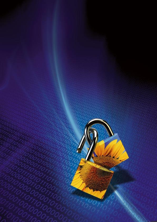 AES Encryption & decryption RSA Public Key Crypto System