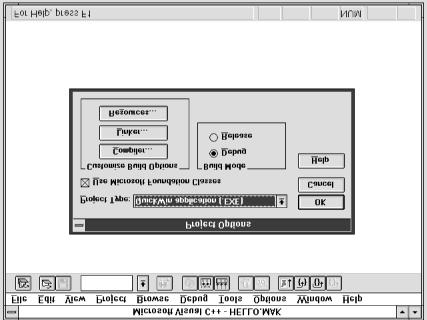 the Project Options dialog as seen in Figure 2-23.