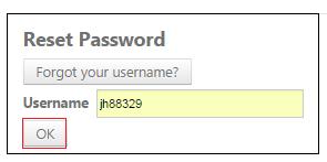 2. Upon clicking on Forgot Password, user would be redirected to a 