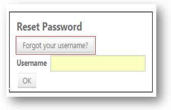 If user does not remember his username, user needs to click on Forgot your Username which would take the user on the Help page from where the user can get to know the next steps ahead. 3.