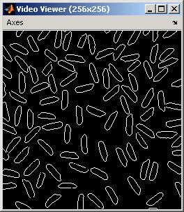 Feature Extraction Solver pane, Solver = discrete (no continuous states) 15 Run your model. The Video Viewer window displays the edges of the rice grains in white and the background in black.
