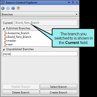 5. (Optional) If there are pending modifications on your current branch, a dialog asks if you want to switch branches and discard your modifications.