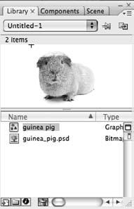 Working with bitmaps Using bitmap images You can import JPG, GIF, PNG and PSD files (bitmap images) into Flash.